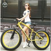 Электровелосипед Lovefreedom 500w